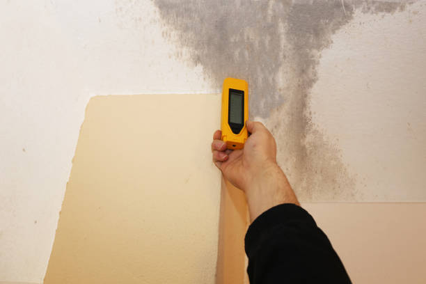 Best Industrial Mold Remediation  in Graniteville, SC