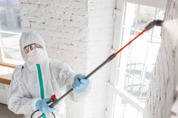 Best Airborne Mold Testing  in Graniteville, SC
