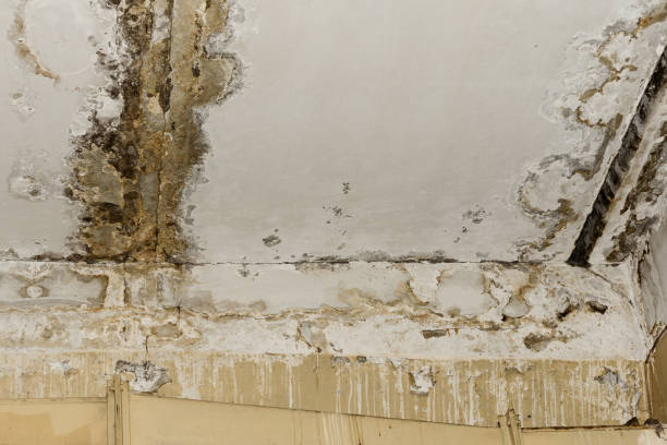 Best HVAC Mold Inspection and Cleaning  in Graniteville, SC