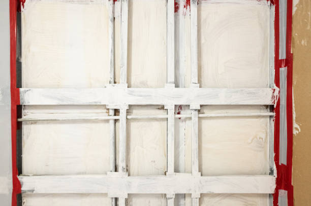 Best Forensic Mold Investigation  in Graniteville, SC