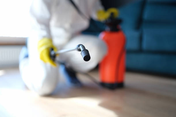 Best Water Damage & Mold Remediation  in Graniteville, SC